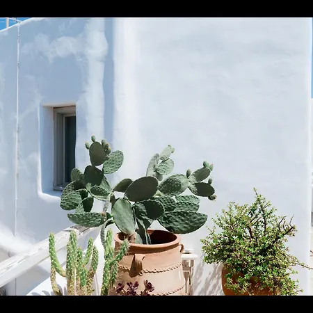 White Retreat